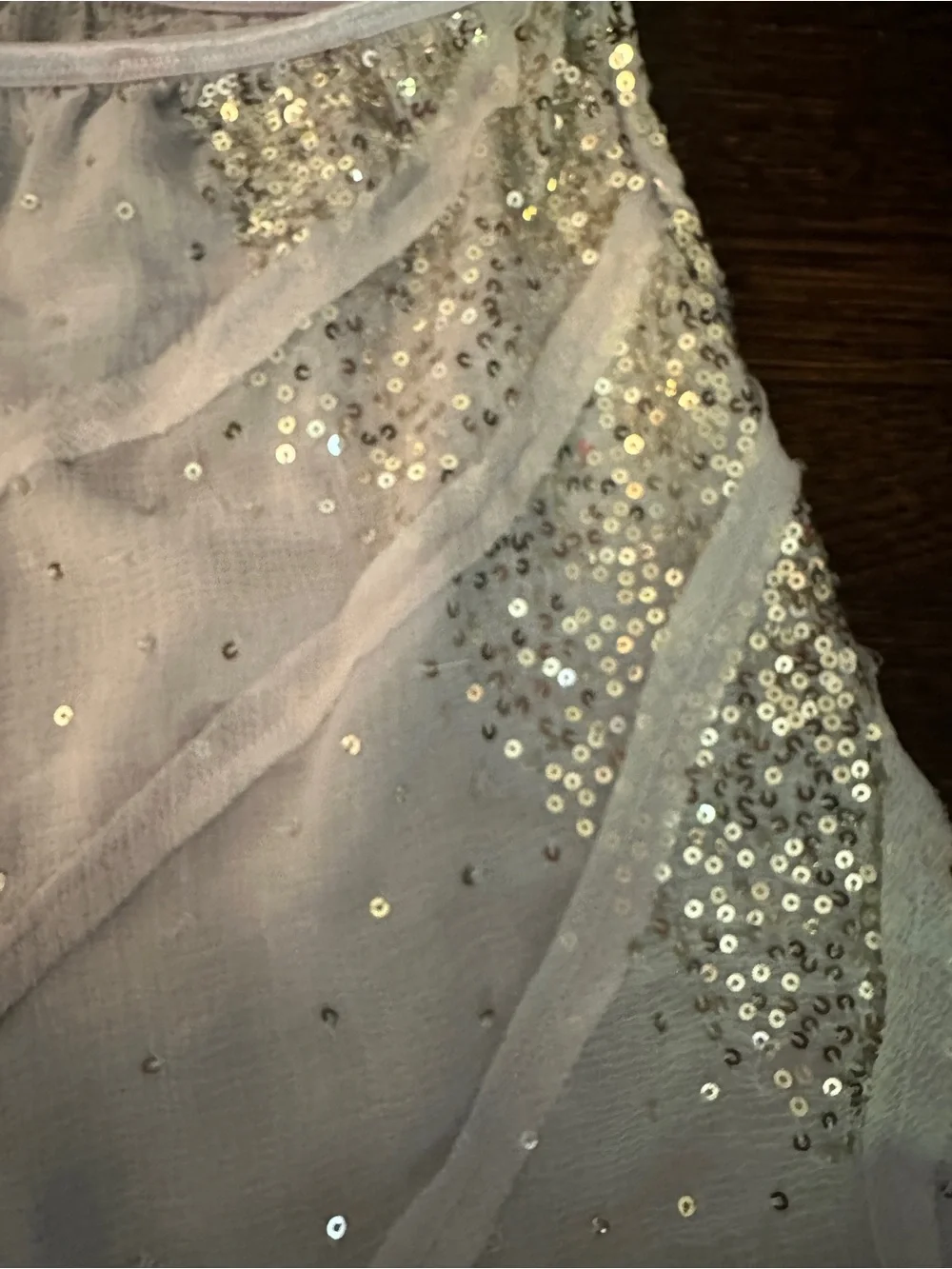 Embellished Light Blue Chiffon Skirt - Picture 4 of 6